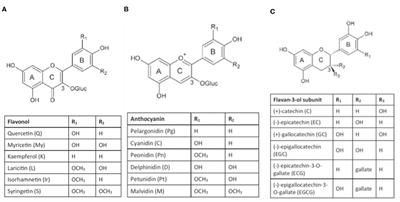 Grape Berry Secondary Metabolites and Their Modulation by Abiotic Factors in a Climate Change Scenario–A Review